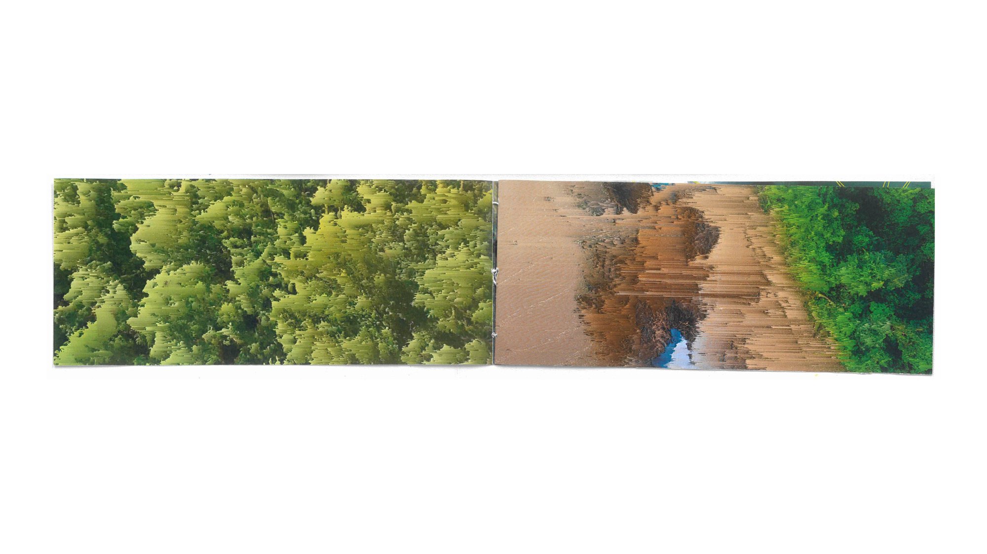 Illusion of green, image 2