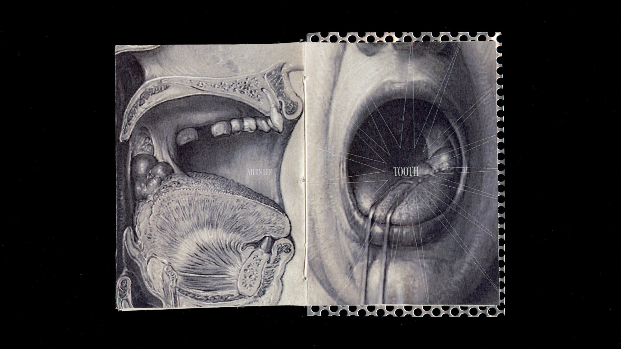 Tooth, image 1