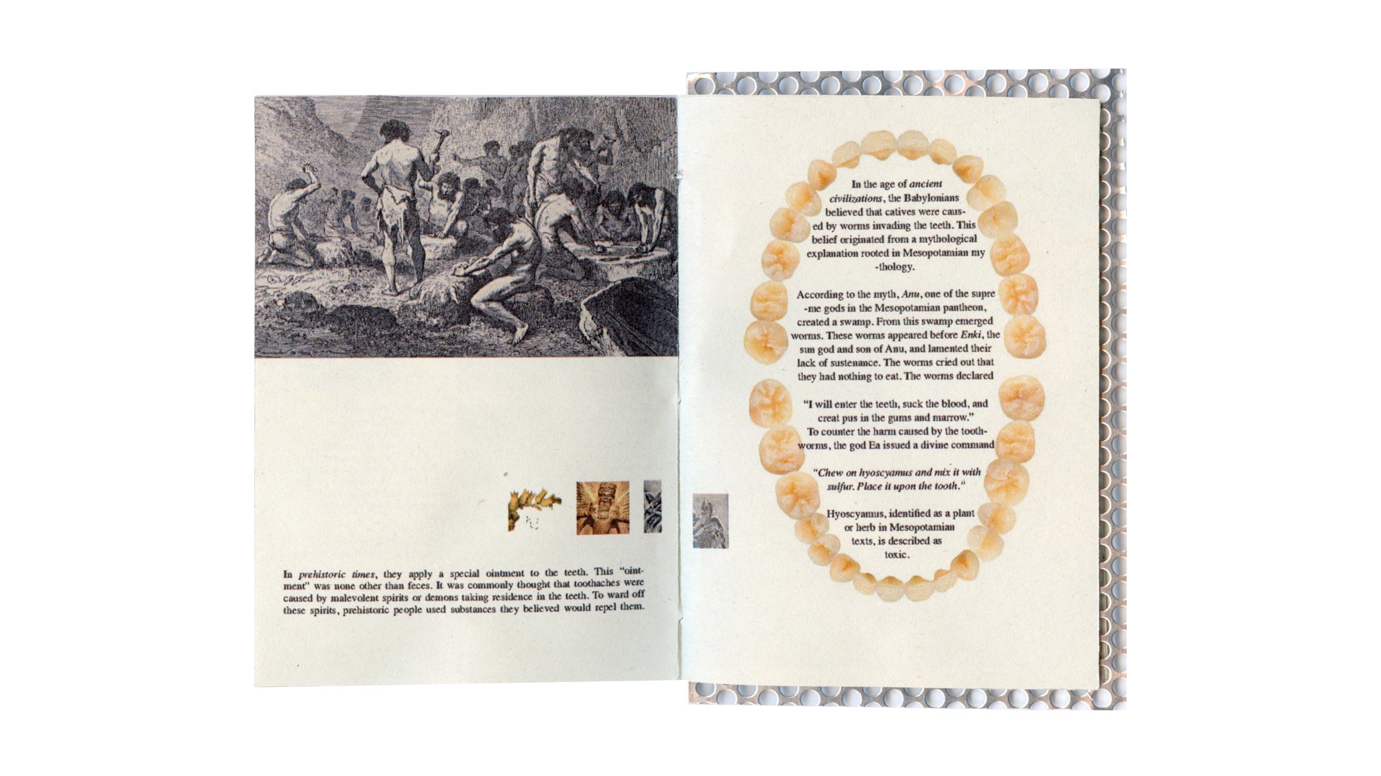 Tooth, image 3