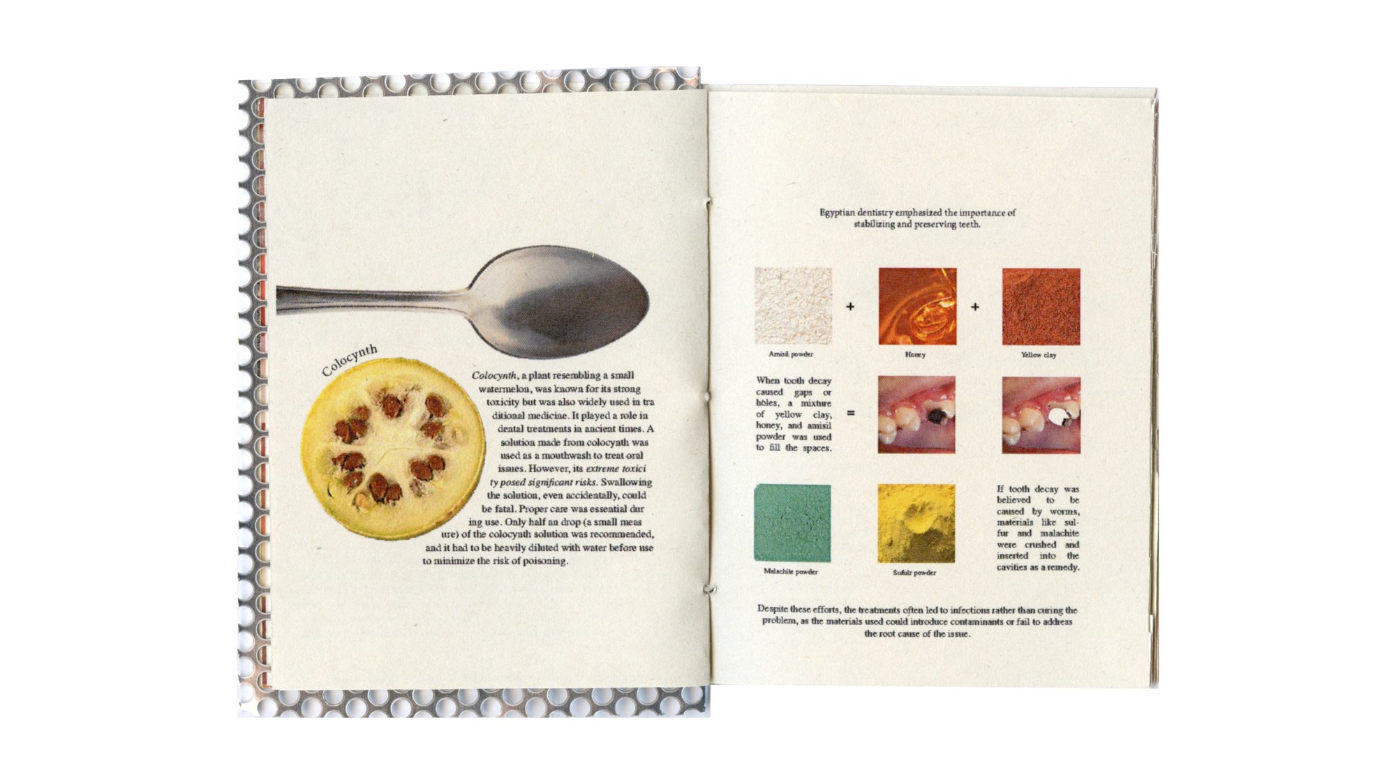 Tooth, image 8